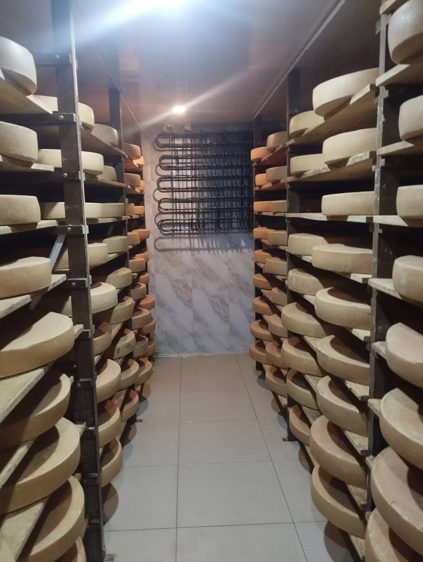 visite fromagerie 2