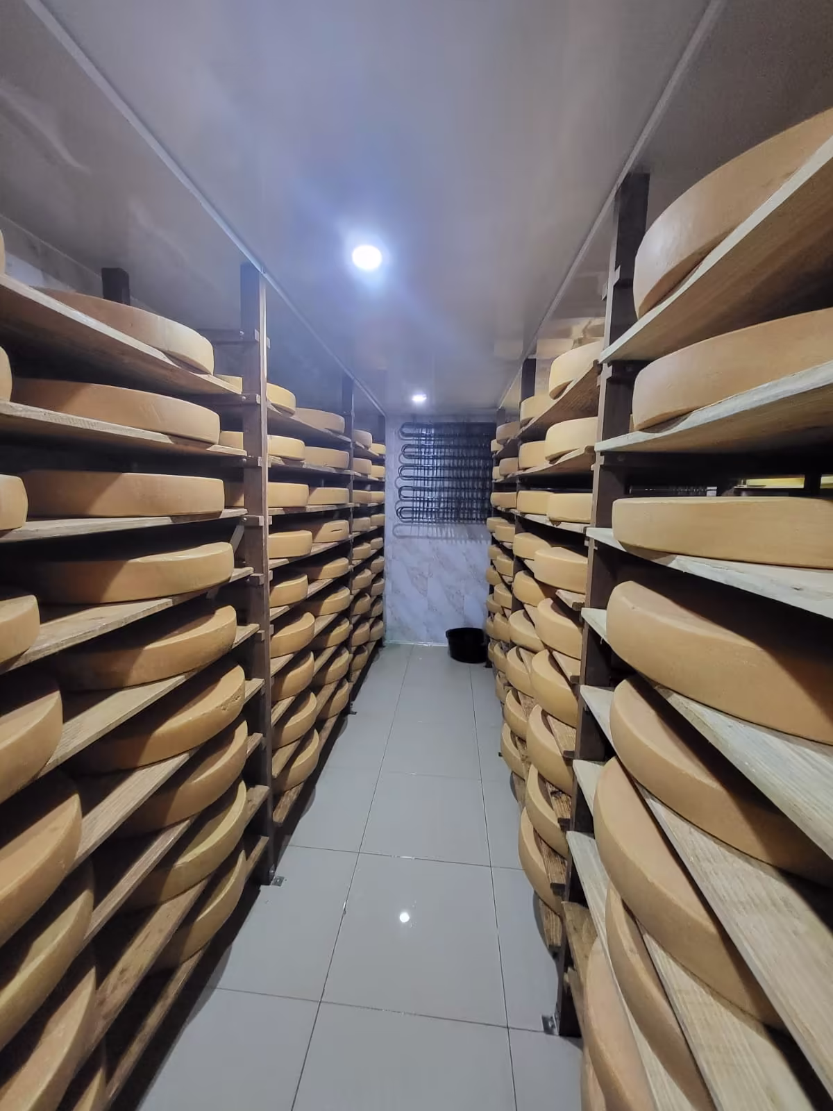 visite fromagerie